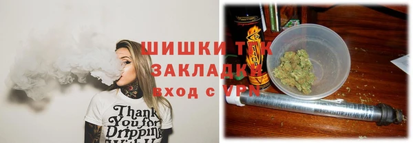 гидра Майский