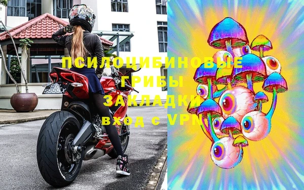 амф Магас