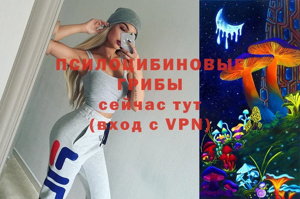 амф Магас