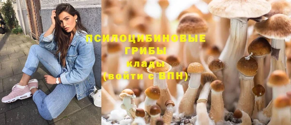 гидра Майский