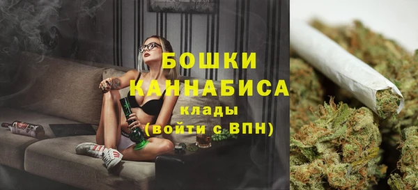 гидра Майский